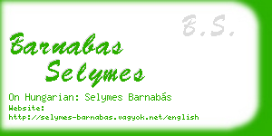 barnabas selymes business card